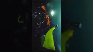«Землю оградили Стеной?»: в сеть слили странное видео с Ледяной стеной под водой