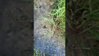 Тамбовская область, Инжавинский район, Паревка 💖