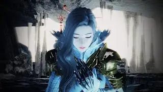 vindictus test - Danah transform & Ultimate Skill
