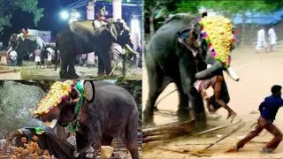 മൂത്തകുന്നം പത്മനാഭൻ ഇടഞ്ഞു | Elephant Attack in kerala
