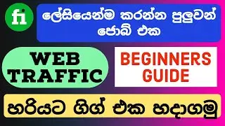 Fiverr Sinhala | How to make Web Traffic Gig | E02 | Explain Fiverr Web Traffic Gig in Sinhala
