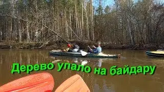 Дерево упало на байдарку полис ОСАГО в походе ЧП последствия