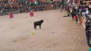 TOROS DE PUEBLO / Sibambe 2019🐃