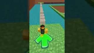 I played a minecraft race in Roblox 🤩