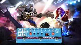 Обзор Tech 21 Steve Harris (Iron Maiden/British Lion) SH1. Подарок на 35 летие от подписчиков
