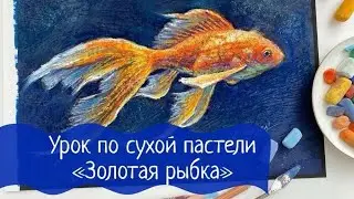 Мастер-класс по сухой пастели Золотая рыбка. Уроки сухая и масляная пастель от Юлии Гиргель