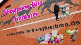 Weihnachtseinkauf fürs Karibu Tierheim Breitscheidt - Marie & Steffi schlagen kräftig zu #spenden