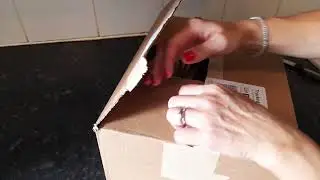 Hankey's Toy's delivery