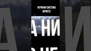 Нервная система молодого юриста