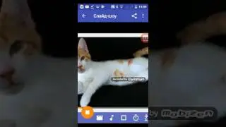 Какую аву?