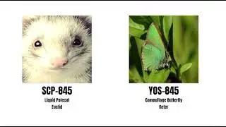 SCP Vs YOS Anomalies 800-899