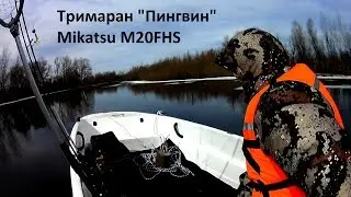 Тримаран 