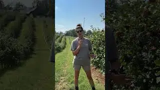 Fall Bucket List: Apple Picking at Mercier Orchards