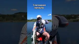 судак на слаги летом