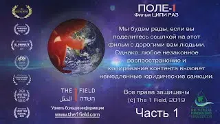 ЕДИНОЕ ПОЛЕ — революционный документальный фильм о сознании. ПРЕМЬЕРА! Часть 1. Режиссер: Ципи Раз