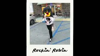 Hi People, It's Me (Boba Mix) [Sped Up] - Rockin' Robin [Visualizer]