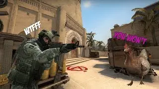 The 