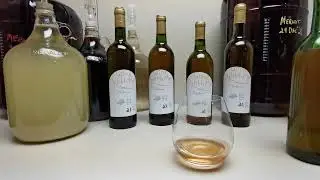 Making & Tasting Cranberry Juice Blend Wine - Wine With Me