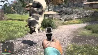 FarCry 4, pigs do fly