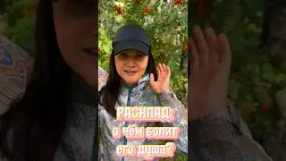 #матрицасудьбы #раскладтаро #тароонлайн #обучениетаро #услугитаролога #таробесплатно