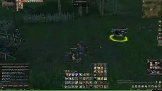 Lineage 2. Ну вот, опять скажут, что хейтят Инову. Офф. сервер.