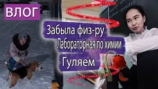 ВЛОГ/ Лабораторная по химии👍/ Не взяла физ-ру/ Гуляем👍👍