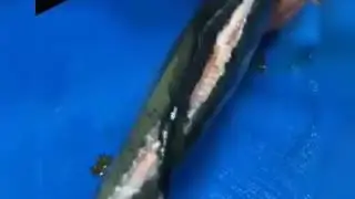 Как готовить классную рыбу