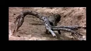 ПЯТНИЦААА!!! @SiberianSolntsepek