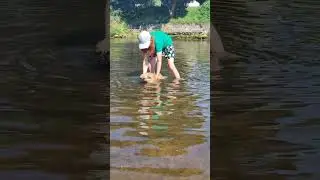 Купальный сезон в разгаре