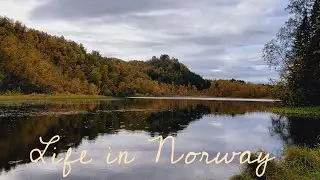 Our first vlog. morning in Northern Norway Harstad