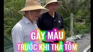GÂY MÀU NƯỚC TRƯỚC KHI THẢ TÔM? I Trần Quang Huy Official