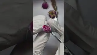 РОЗА НА НОГТЯХ. КИТАЙСКАЯ РОСПИСЬ.