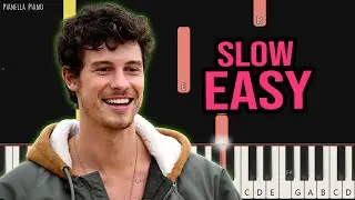 Shawn Mendes - Why Why Why | SLOW EASY Piano Tutorial by Pianella Piano