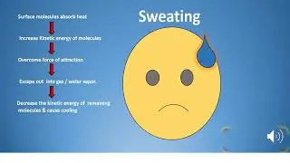 G9 chem Matter in our surrounding  evaporation causes cooling 12 05 2020 1
