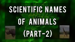 Scientific Names Of Animals (PART-2)