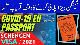 SCHENGEN VISA THROUGH 