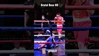 Brutal Boxe Knockout - Alcateia Fight for the troops 