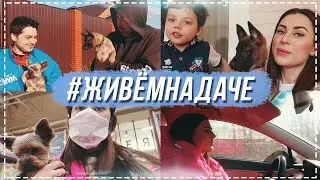 #ЖивемНаДаче