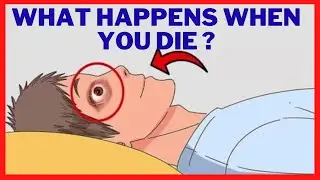What Happens When You Die ?