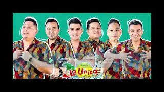 DJ JUAN-MIX CUMBIA PERUANA 2024 V2(ÚNICA TROPICAL,GRUPO 5,A.MARINA,ARMONIA 10,BELLA LUZ,C.SERRANO)