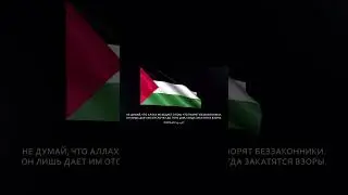 Это религия обречена на победу Иншаа Аллах1☝🏻#палестинцы #Палестина