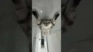 И снова тяжелый день