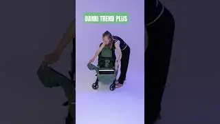 Коляска прогулочная Danki trend plus