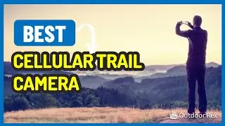 Top 5 Best Cellular Trail Camera in 2023