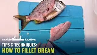 How to Fillet Bream - A Simple Step by Step Guide