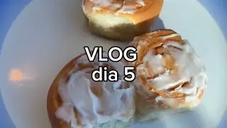 O melhor dia do Cruzeiro pelo Alasca: navegação pelo Glaciar Bay 🥹😍