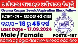 Panchayat Job in Odisha 2024 | Odisha Govt Jobs Updates | Odisha Govt Job Recruitment 2024 /GRS Jobs