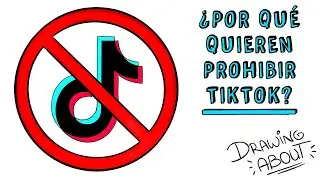 ¿POR QUÉ QUIEREN PROHIBIR TIKTOK? | Draw My Life