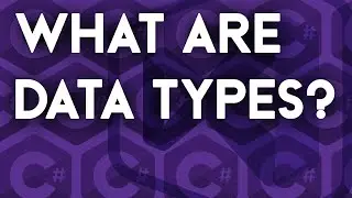 What Are DATA TYPES?