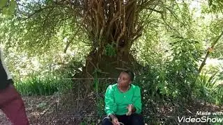 Luhya Love  - corona